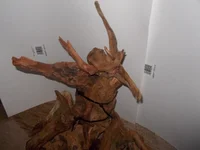 DSCN1294.webp
