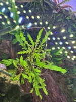 IMG_7612.webp IMG_7612.webp