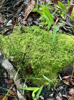 IMG_9630.webp IMG_9630.webp