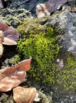IMG_9815.webp IMG_9815.webp