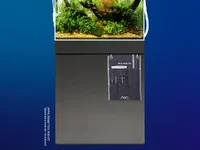 260820_D_Complete ADA Style Campaign.webp