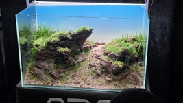 1000028448 (1).webp