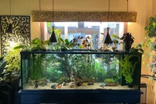 IMG_0866.webp IMG_0866.webp