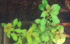 DSCN1376.webp