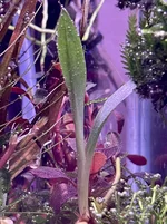 IMG_0579.webp