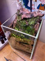 IMG_0594.webp IMG_0594.webp
