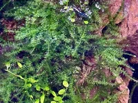 IMG_0607.webp IMG_0607.webp