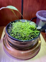 IMG_0520.webp IMG_0520.webp