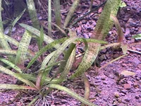 IMG_0632.webp