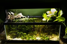 20g long.webp