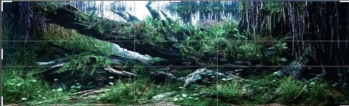 Screenshot 2026-09-18 at 7.27.36 AM.webp