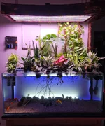 GFT 200926.webp