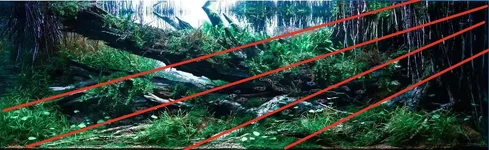 A river somewhere - Copy.webp