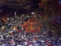 DSCN1420.webp