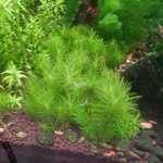 1000028307.webp