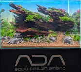 Aquashella 1st Place.webp