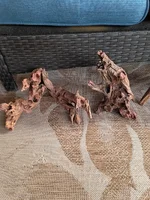 IMG_20261005_171416112_HDR.webp