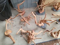 IMG_20261009_121312341.webp