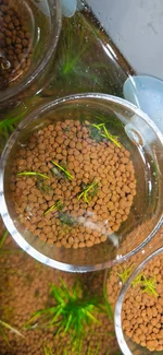 20261009_194356.webp