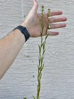 IMG_1704.webp IMG_1704.webp