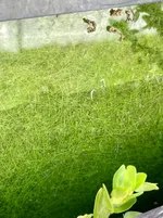 IMG_1714.webp IMG_1714.webp