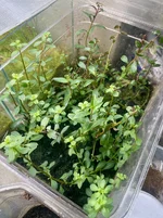 IMG_1670.webp IMG_1670.webp
