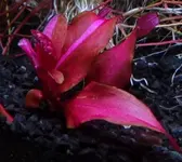 downloadfile (1).webp