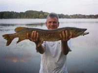 IMG_0409 (Large).webp IMG_0409 (Large).webp