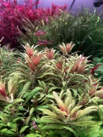 IMG_7854.webp IMG_7854.webp