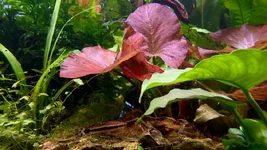 IMG_0508.webp IMG_0508.webp