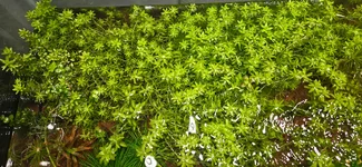 20261023_005231.webp