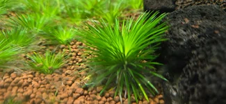 20261024_195431.webp