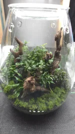 1000029997.webp