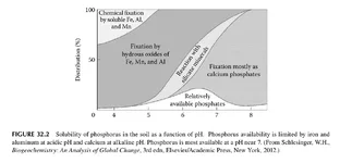 Phosphate.webp