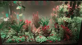 1701049201851.webp