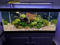 89483851-ABC4-4C24-B015-FB6DB1F95FC5.jpeg