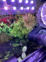 IMG_1122.jpeg