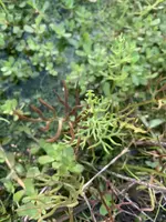 IMG_1266.jpeg IMG_1266.jpeg