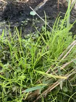 IMG_1267.jpeg IMG_1267.jpeg
