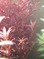 SKY20240112_122810.jpg