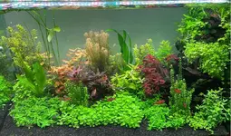 1708078687262.jpeg 1708078687262.jpeg