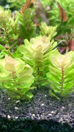 IMG_0945.jpeg