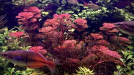 IMG_0936.jpeg