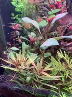 IMG_3673.webp IMG_3673.webp