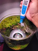 20240421_201021 small.webp