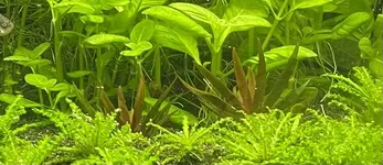 IMG_3136.jpeg