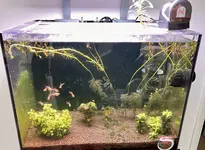 IMG_0700.jpeg IMG_0700.jpeg