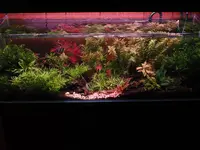 P7180389.JPG P7180389.JPG