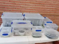 1723055232074.webp 1723055232074.webp