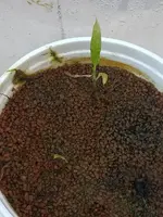 WhatsApp Image 2024-08-07 at 20.26.16 (3).webp WhatsApp Image 2024-08-07 at 20.26.16 (3).webp